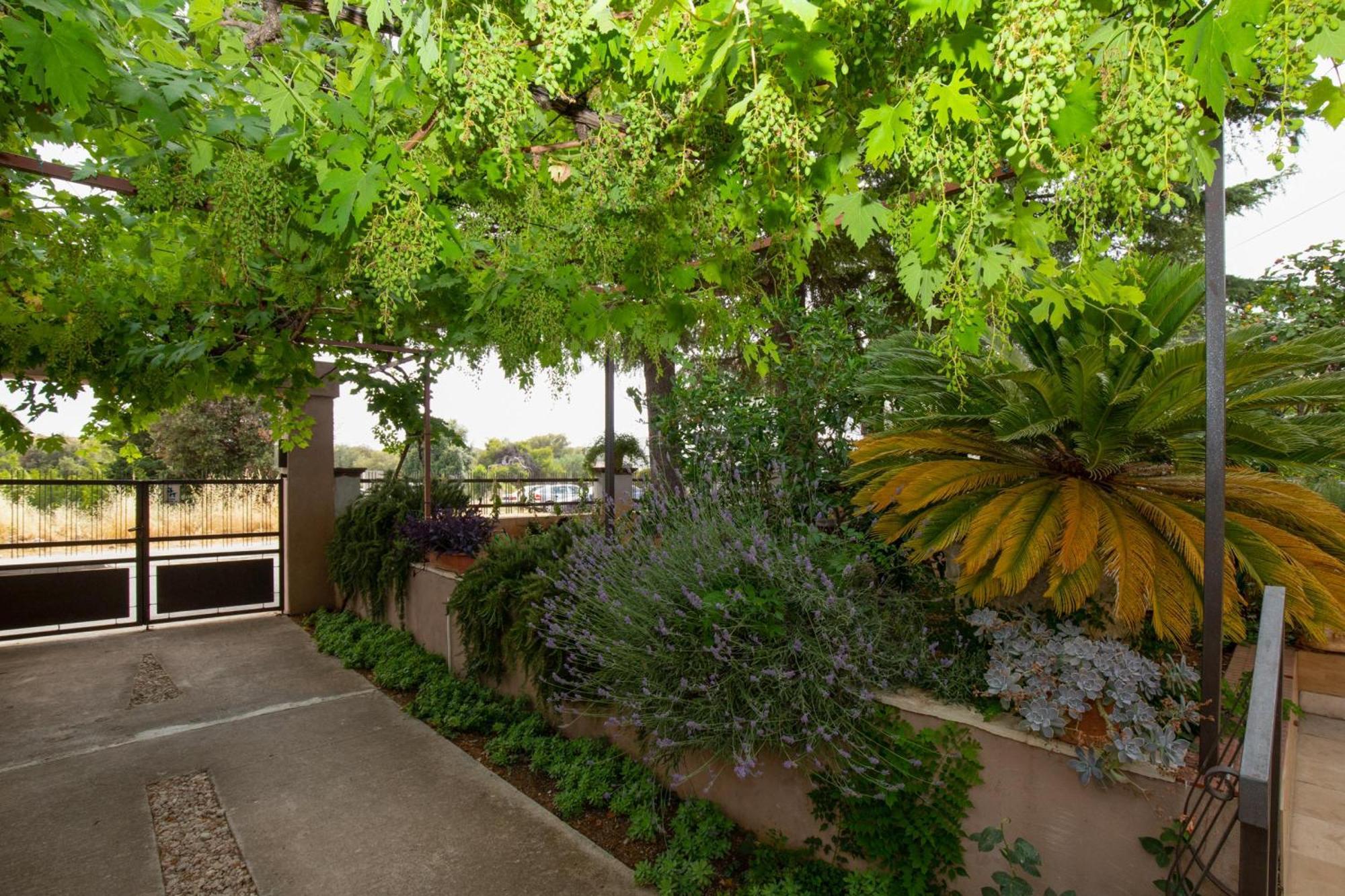 Pool Apartment Bakija 2 - Happy Rentals Pakostane Exterior photo